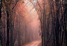 融资买股票什么意思:首选配资炒股网-养老基金Q2重仓股曝光！新进29只个股前十大流通股东榜 卫星化学获持仓市值最高